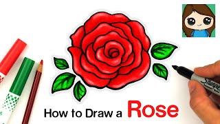 How to Draw an Open Rose EASY [upl. by Arliene]