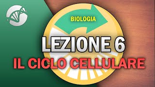 BIOLOGIA  Lezione 6  Il Ciclo Cellulare [upl. by Jews604]