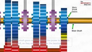 How Car Transmission System Works [upl. by Lertsek427]