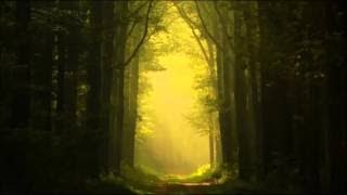 Celtic Spirit Chants and Melodies from the Celtic Lands [upl. by Sivle]