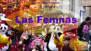 Carnaval de Limoux 2018  Las Femnas [upl. by Kenon]