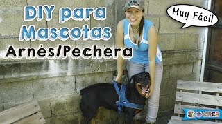 Cómo hacer un arnéspechera para tu perro │DIY [upl. by Lichtenfeld]