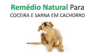 Como CURAR Coceira em CACHORROS Com Remédio CASEIRO [upl. by Elbag653]