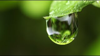 LA LLUVIA  Los secretos del planeta  Documental Planeta Tierra [upl. by Pages326]