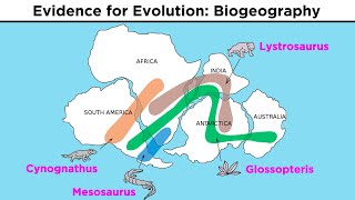 The Evolution of Populations Natural Selection Genetic Drift and Gene Flow [upl. by Vaughn]