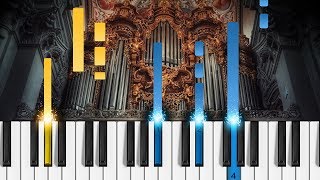 Bach  Toccata and Fugue in D Minor  ORGAN Tutorial [upl. by Ariak]