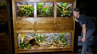 Easy DIY Plywood Reptile Enclosures [upl. by Ignacio]