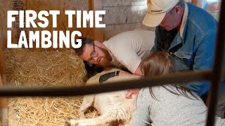 Dorper Sheep Lambing Day 2 Full Birthing  Complicated Labor [upl. by Akiwak]