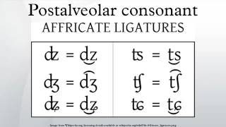 Postalveolar consonant [upl. by Etterrag]