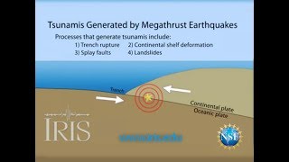 Tsunamis Generated by Megathrust Earthquakes [upl. by Goldberg]