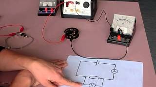 setting up ohms law circuit [upl. by Rubinstein492]