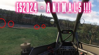 Finding ANIMALS in MSFS2024 [upl. by Aliemaj]