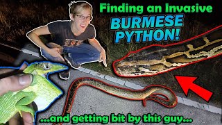 Finding INVASIVE Reptiles in Florida [upl. by Eikkin]