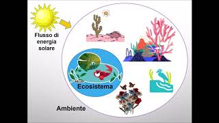 Lecosistema  scuola primaria [upl. by Tricia402]