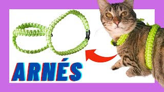 😺 Cómo HACER un ARNÉS para GATO ❤️  DIY  Manualidades para mascotas 🐶 [upl. by Schaab]