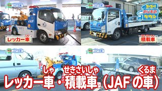 【のりもの図鑑】レッカー車・積載車（JAFの車）｜はたらくくるま [upl. by Sirod]