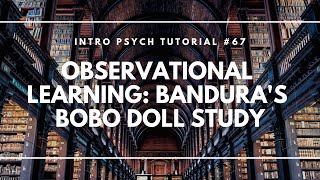 Observational Learning Banduras Bobo Doll Study Intro Psych Tutorial 67 [upl. by Attenor]