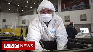 Coronavirus disease named Covid19  BBC News [upl. by Lifton]