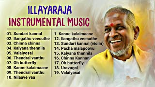 Ilayaraja Instrumental Music amp BGMs  ilayaraja instrumental music collectionFlute Violin veenai [upl. by Llener]