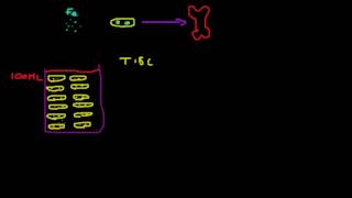 Total Iron Binding Capacity TIBC Explained [upl. by Appilihp]