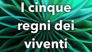 I CINQUE REGNI DEI VIVENTI [upl. by Survance]