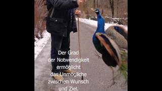 Pfau Wunsch und Ziel Aphorismus Raymond Hummy Art  Cellokonzert Boccherini [upl. by Noskcire]