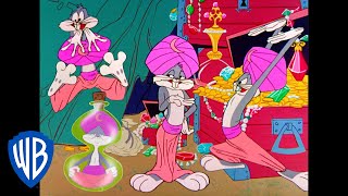 Looney Tunes  Genie Bugs  Classic Cartoon  WB Kid [upl. by Nero]