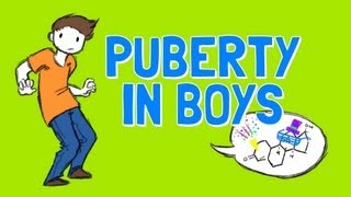 All About Boys Puberty [upl. by Ailliw]