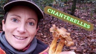 COMMENT PRÉPARER LES CHANTERELLES  🍄🍂 [upl. by Amla]