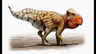 Udanoceratops An Abnormally Large Hornless Ceratopsian From Late Cretaceous Mongolia [upl. by Flyn]