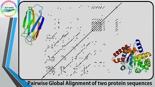 Comparing two Sequences using Dot Plot [upl. by Xever]