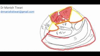 17 Rotation Flaps in Head and Neck reconstruction [upl. by Britton]