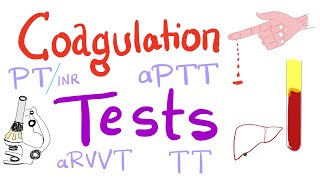 Coagulation Tests  PT aPTT TT Fibrinogen Mixing Studies [upl. by Gibby]