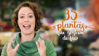 35 PLANTAS que amam FRIO boas pro INVERNO [upl. by Alemahs]