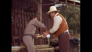 BONANZA S8 ep16 Ponderosa Explosion [upl. by Perce827]