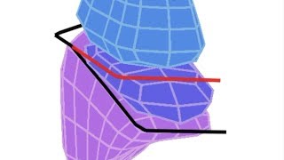 Lung Lobes amp Fissures  Simple 3D Anatomy [upl. by Analed]