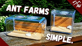 How to make an Ant Farm  DIY Sand Formicarium [upl. by Masson]