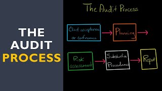 The Audit Process [upl. by Navinod]