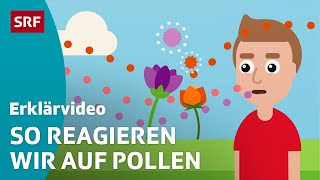 Heuschnupfen  Pollenallergie – einfach erklärt  Kindervideos  SRF Kids [upl. by Yolane]