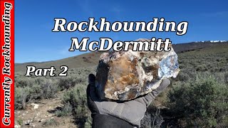 Rockhounding McDermitt  The Biggest Seam Agate Ever [upl. by Tracee849]