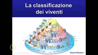 La classificazione dei viventi [upl. by Vance127]