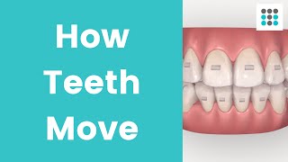 HOW TEETH MOVE WITH ALIGNERS amp BRACES l Dr Melissa Bailey Orthodontist [upl. by Rahm844]