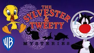 Looney Tunes SINGALONG  The Sylvester amp Tweety Mysteries Theme Song  WB Kids [upl. by Eelyam]