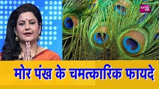 मोर पंख के चमत्कारिक फायदे  Panditain  Chhavi Sharma  Astro Tak [upl. by Raamal671]