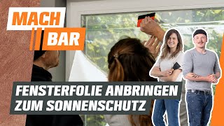 Fensterfolie anbringen zum Sonnenschutz  OBI [upl. by Dustan134]