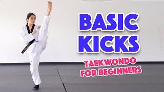 Learn Martial Arts 3 Basic Kicks for Beginners [upl. by Llednahc]