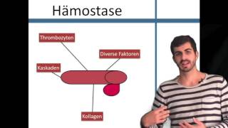 Hämostase Die Grundlagen [upl. by Pember]