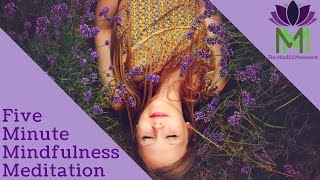 5 Minute Mindfulness Meditation [upl. by Parette]