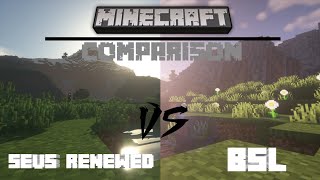 Minecraft Shader Comparison SEUS Renewed vs BSL Shaders [upl. by Dorette]