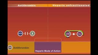 Heparin animation [upl. by Weatherby574]